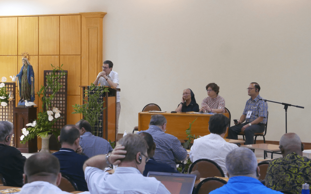  The Vincentian Family: from the present to the future