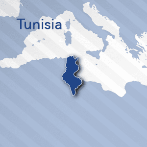 The International Mission of TUNISIA