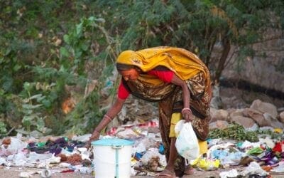 L’écologie intégrale vincentienne : Réflexions pour un monde post-pandémique