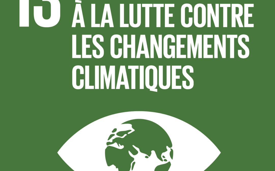 ODD n°13 – Lutte contre le changement climatique