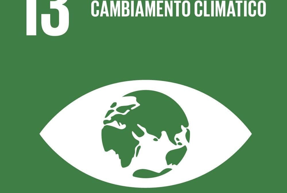 SDG n. 13 Azione per il clima